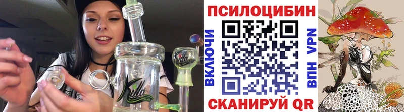 Псилоцибиновые грибы GOLDEN TEACHER  хочу наркоту  Белгород 